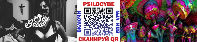 Псилоцибиновые грибы Psilocybine cubensis Полесск